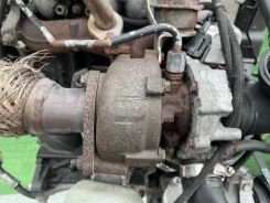 ������� Volkswagen Passat B5 2002 diz-111611832 028145702C ����
