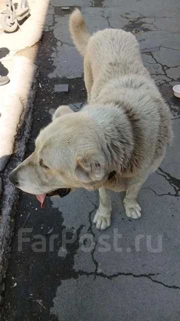 ������. ����