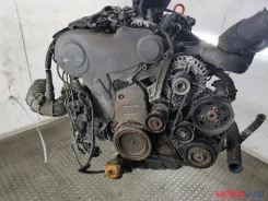 ��������� Audi A6 (C6) 2004-2011 11791504 03G903016LX ����