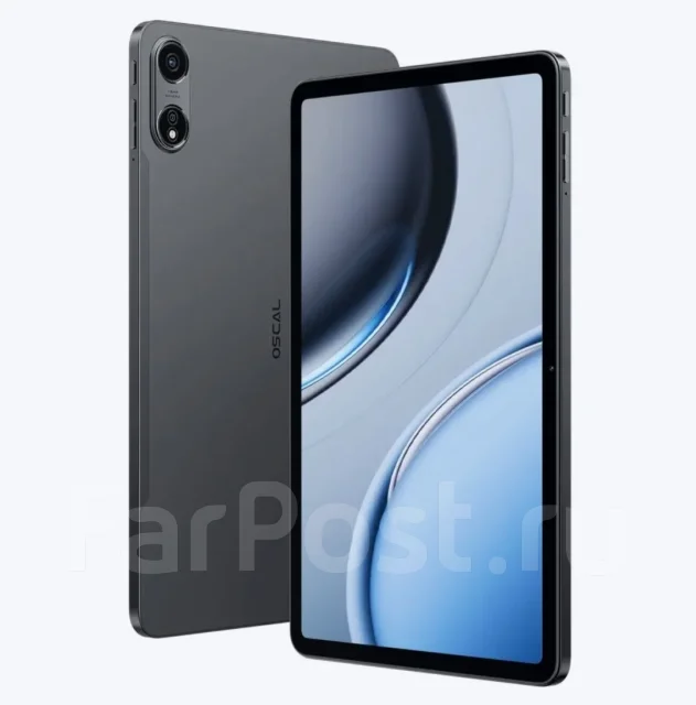 Oscal Pad 100. ������ 256 �� ����