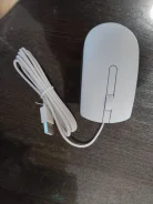 ���� ������������. ����