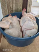 ������. ����