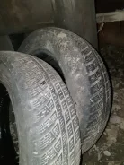 Dynamo Street-H. ������, ��� �����, 2022 ���, �/�, ����� 30 % ����