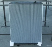 �������� Renault Premium RN00111 RN00111 ����