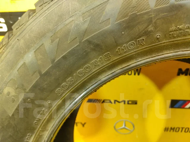 Bridgestone Blizzak DM-V2