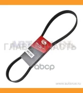 ������ �������� Nissan VQ35/VG33E/TB48DE/Murano Z50/Pathfinder R50/Teana J31/Patrol Y61 Gates 6PK1060 6PK1060 ����