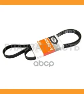 ������ ������������ AUDI A4 00-/ FORD Mondeo 2.5 94-00/ VW Transporter 2.0 90- XF 68412 Gates 6PK1590 6PK1590 ����