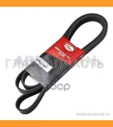 ������ �������� Mazda Atenza GG/GY L8/LF-DE 02-07/Mazda 6 1.8/2.0 05-07/Mercedes Sprinter Classic 90 Gates 6PK2260 6PK2260 ����