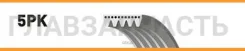 ������ 5PK1023-1025 Gates 58367 5PK1023 ����