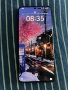 Huawei P60. �/�, 256 ��, ������� ����