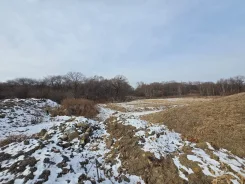 ����� �����, ��� ���������, ��� ��������. ���� ���������� ����