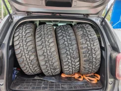 Contyre Expedition. �����������, 2024 ���, �/�, ����� 10 %. ��������� ����