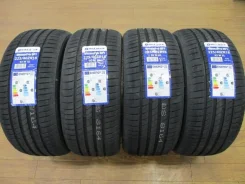 Delmax Ultima Plus