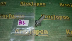 ������ �������� ����� Volkswagen 038919081G 038919081G ����