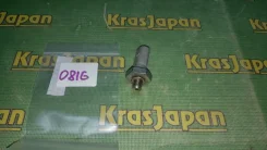 ������ �������� ����� Volkswagen Passat 038919081G B6 038919081G ����