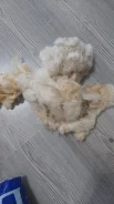 ����� ������� ������ ������ ����� ����