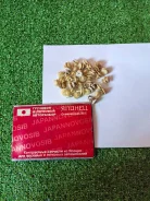 ������� ��� ���� ������ ������ ����