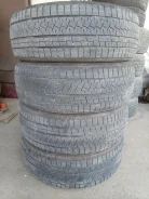 Triangle Snowlink PL02. ������, ��� �����, 2023 ���, �/�, ����� 45 % ����