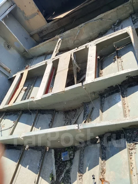 ����� ���� ����