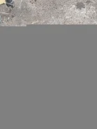 ������� Audi A4 B5 1999 [shuk-111731360] 068911024E ����
