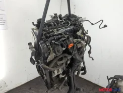 ���������� ������������ Volkswagen Passat 6 2005-2010 11803558 5N0820803 ����