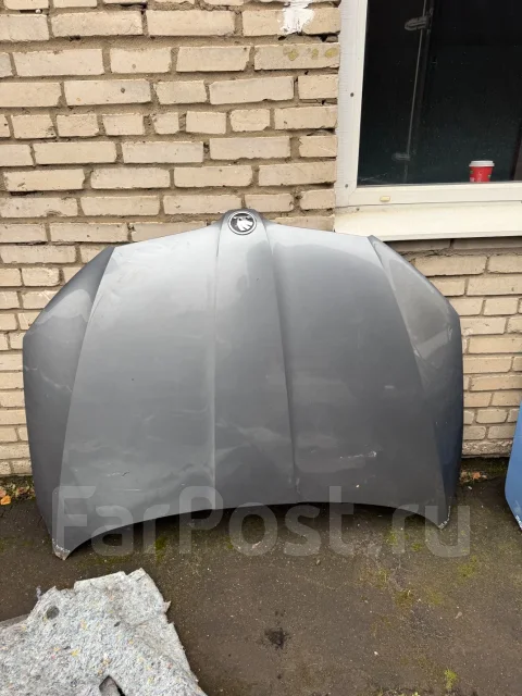 Skoda Rapid ����