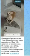 ������. ����