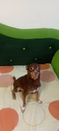 ������. ����