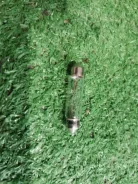 ����� 17175 17175 ����