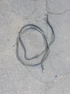 ������ ����� 5490-5P 2022 22147 Weichai WP12 22147 ����