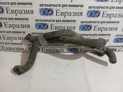 �������� ��������� ���� ������ 2022 21900810120010 FL 11182 21900810120010 ����