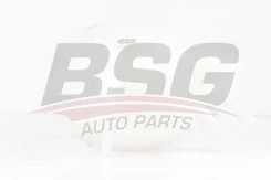 ����� �������������� bsg90550010 BSG BSG90550010 ����