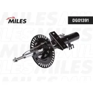 ����������� �������� DG01391 DG01391 ����