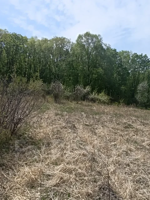 ����. �-� �. ����������, ��� 5��&sup2;, ������� 10����., ��� ����