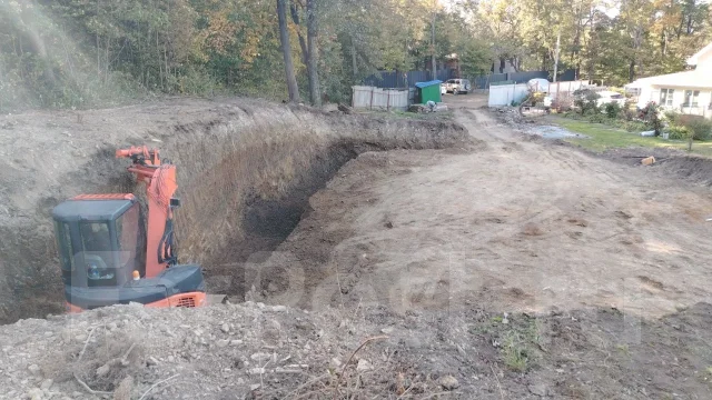 ������ ������ ����