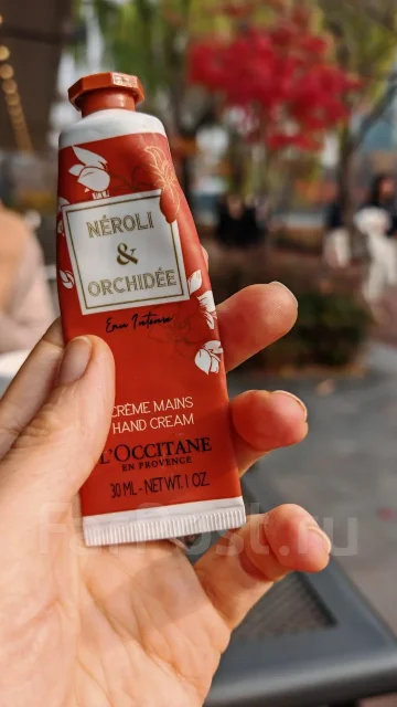 ��������-�����������. �� �������� L'Occitane en Provence. ����� ����������� 15 ����