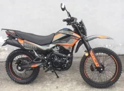 Racer RC300B-F Panther Pro 19
