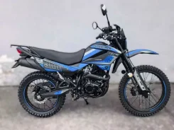 Racer RC300B-F Panther Pro 19