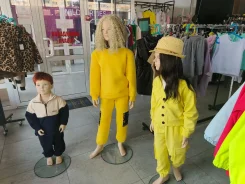 ������ �������� ����