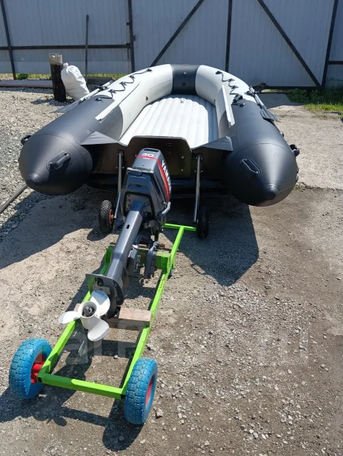 ������ ����� �������. 2019 ���, ����� 4,3��., ��������� ���������, 30��.�., ������ ����