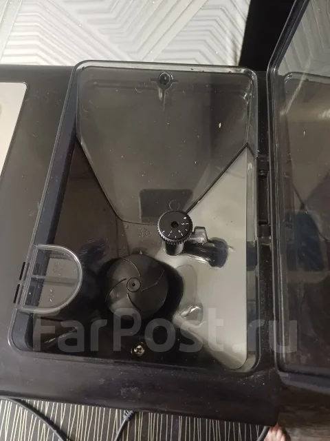 ����������. ����