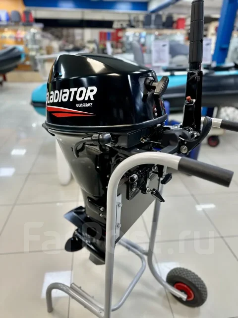 Gladiator. 20��.�., 4-�������, ����������, ���� S (381 ��), 2025 ��� ����