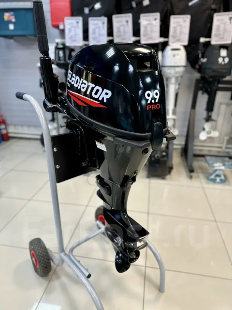 Gladiator. 20��.�., 4-�������, ����������, ���� S (381 ��), 2025 ��� ����