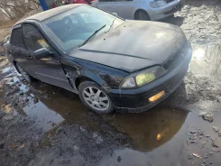 Honda Torneo ����