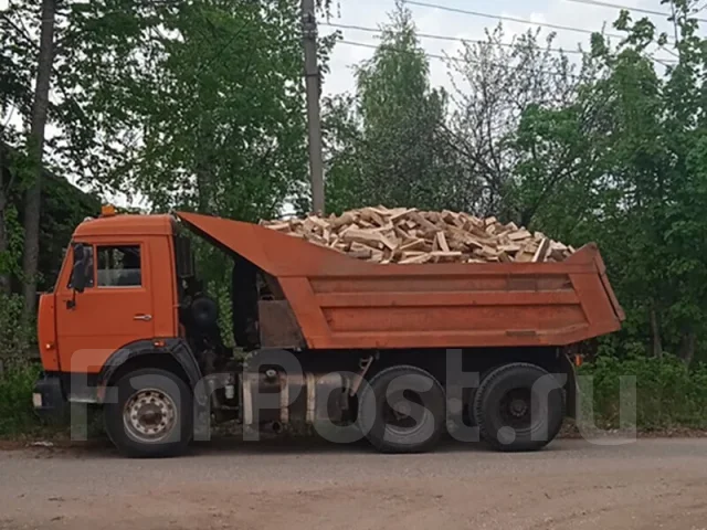 ���������. ����