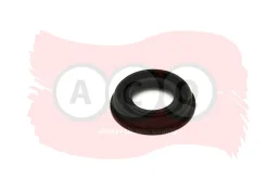 ������ �������������� �������� Transit/Boxer/Jumper ACQ ���. AAF2494 AAF2494 ����