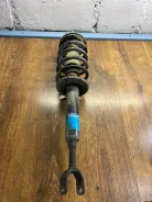 ������ �������� Volkswagen Passat B5+ 2003 557837 ����� 1, �������� ����� 557837 ����