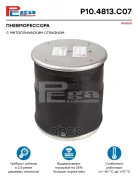 ������������� ������ (�� �������� ��������) �. �.255293 (P10.4813. C07, 130080) PEGA P104813C07 ����