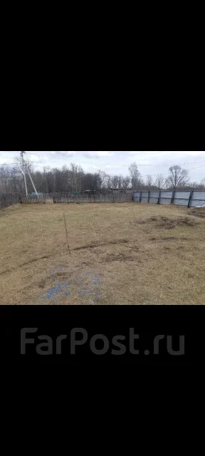 ������� ����� ����