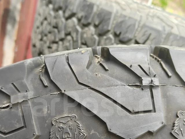 Blackbear All Terrain II. ����� at, 2024 ���, �/�, ����� �� 5 % ����